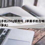 苹果手机256g够用吗（苹果手机在哪里看内存多大）