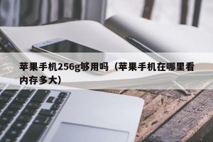苹果手机256g够用吗（苹果手机在哪里看内存多大）