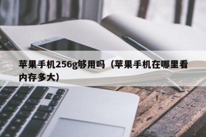 苹果手机256g够用吗（苹果手机在哪里看内存多大）