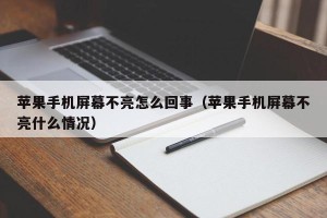 苹果手机屏幕不亮怎么回事（苹果手机屏幕不亮什么情况）