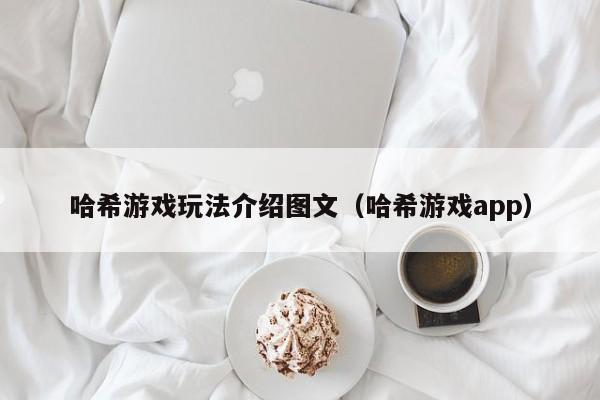哈希游戏玩法介绍图文(哈希游戏app)